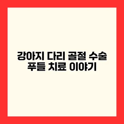 강아지 다리 골절 수술 푸들 치료 이야기