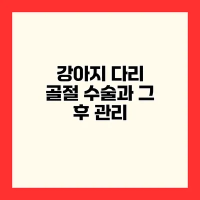 강아지 다리 골절 수술과 그 후 관리