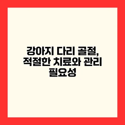 강아지 다리 골절, 적절한 치료와 관리 필요성