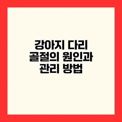 강아지 다리 골절의 원인과 관리 방법
