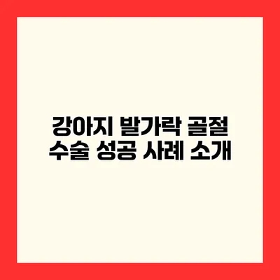 강아지 발가락 골절 수술 성공 사례 소개