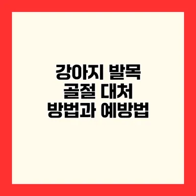 강아지 발목 골절 대처 방법과 예방법