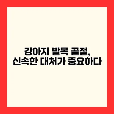 강아지 발목 골절, 신속한 대처가 중요하다