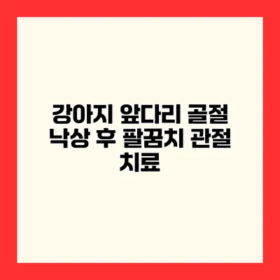 강아지 앞다리 골절 낙상 후 팔꿈치 관절 치료
