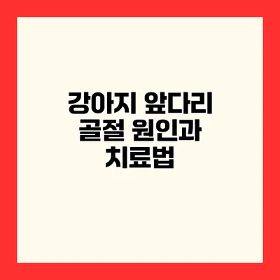 강아지 앞다리 골절 원인과 치료법