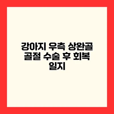 강아지 우측 상완골 골절 수술 후 회복 일지