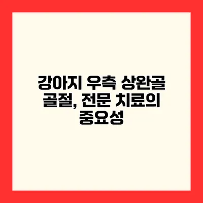 강아지 우측 상완골 골절, 전문 치료의 중요성