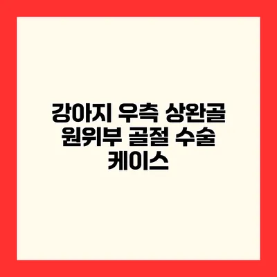 강아지 우측 상완골 원위부 골절 수술 케이스