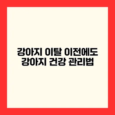 강아지 이탈 이전에도 강아지 건강 관리법