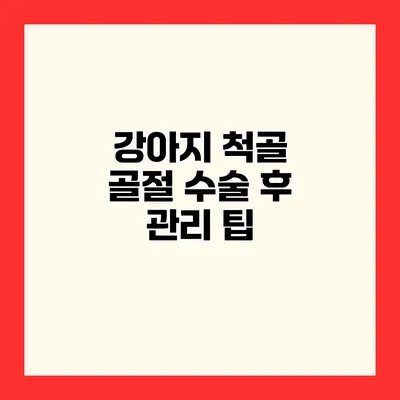 강아지 척골 골절 수술 후 관리 팁