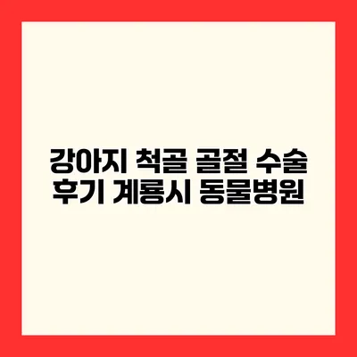 강아지 척골 골절 수술 후기 계룡시 동물병원