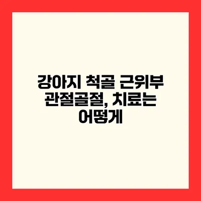 강아지 척골 근위부 관절골절, 치료는 어떻게?