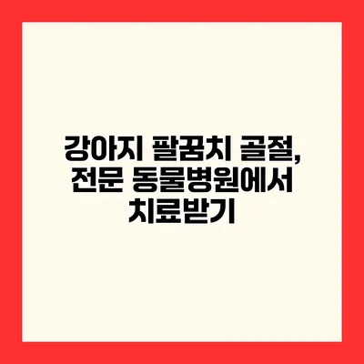 강아지 팔꿈치 골절, 전문 동물병원에서 치료받기