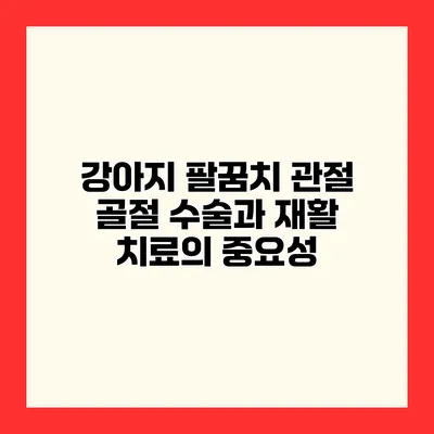 강아지 팔꿈치 관절 골절 수술과 재활 치료의 중요성