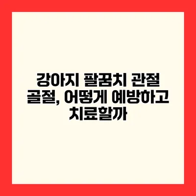 강아지 팔꿈치 관절 골절, 어떻게 예방하고 치료할까?