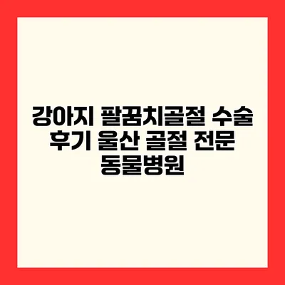 강아지 팔꿈치골절 수술 후기 울산 골절 전문 동물병원