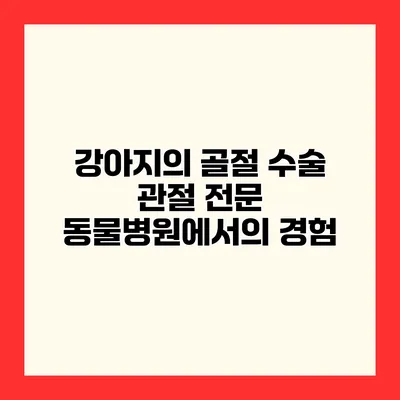 강아지의 골절 수술 관절 전문 동물병원에서의 경험