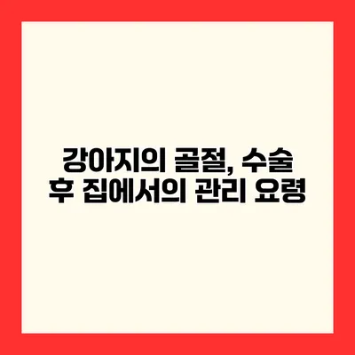 강아지의 골절, 수술 후 집에서의 관리 요령