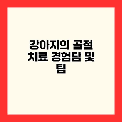 강아지의 골절 치료 경험담 및 팁