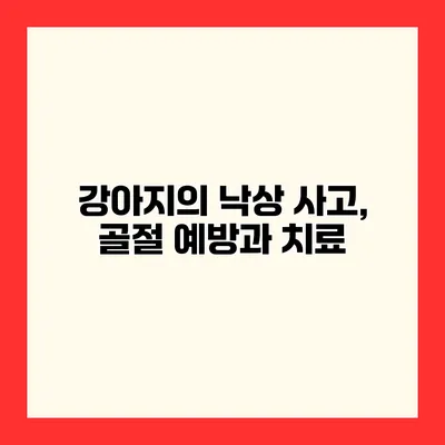 강아지의 낙상 사고, 골절 예방과 치료