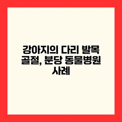 강아지의 다리 발목 골절, 분당 동물병원 사례