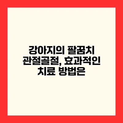 강아지의 팔꿈치 관절골절, 효과적인 치료 방법은?
