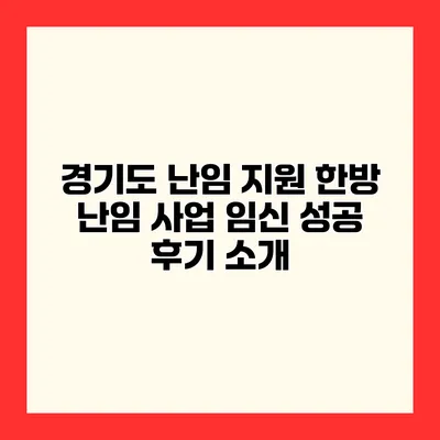 경기도 난임 지원 한방 난임 사업 임신 성공 후기 소개
