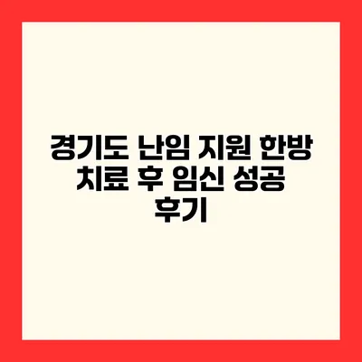 경기도 난임 지원 한방 치료 후 임신 성공 후기