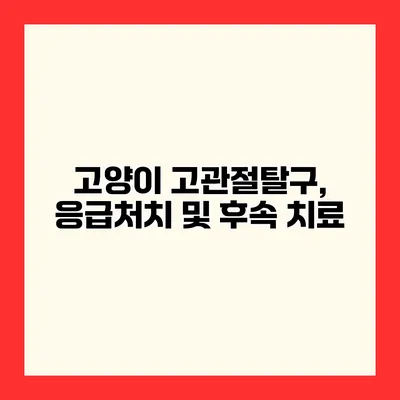 고양이 고관절탈구, 응급처치 및 후속 치료