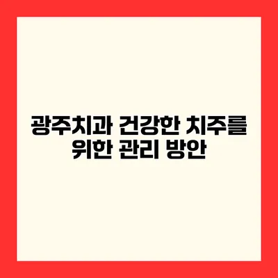 광주치과 건강한 치주를 위한 관리 방안