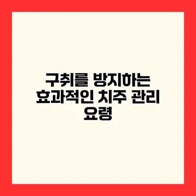구취를 방지하는 효과적인 치주 관리 요령