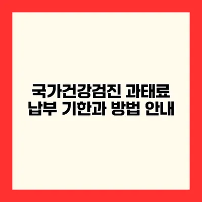 국가건강검진 과태료 납부 기한과 방법 안내