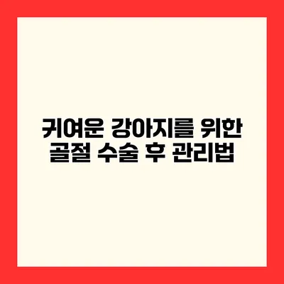 귀여운 강아지를 위한 골절 수술 후 관리법
