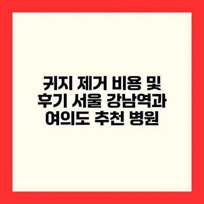 귀지 제거 비용 및 후기 서울 강남역과 여의도 추천 병원