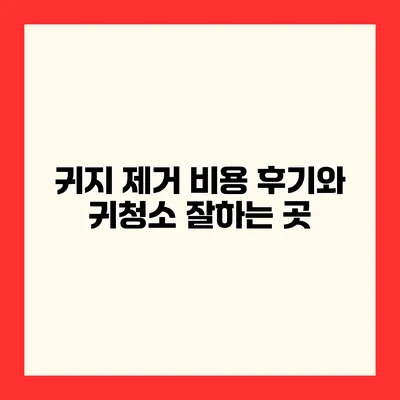 귀지 제거 비용 후기와 귀청소 잘하는 곳
