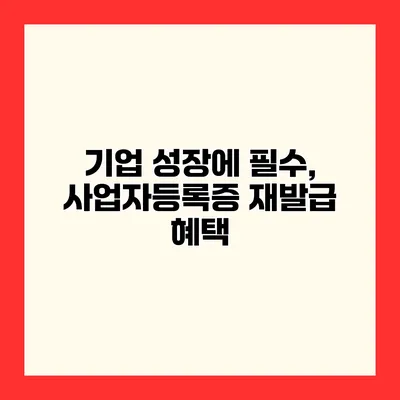 기업 성장에 필수, 사업자등록증 재발급 혜택