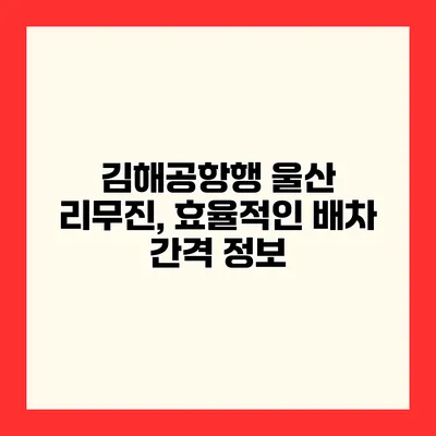 김해공항행 울산 리무진, 효율적인 배차 간격 정보