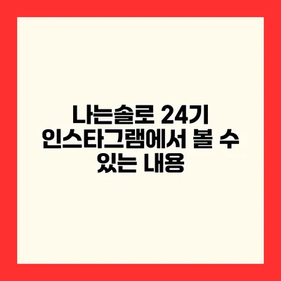 나는솔로 24기 인스타그램에서 볼 수 있는 내용