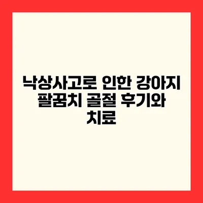 낙상사고로 인한 강아지 팔꿈치 골절 후기와 치료