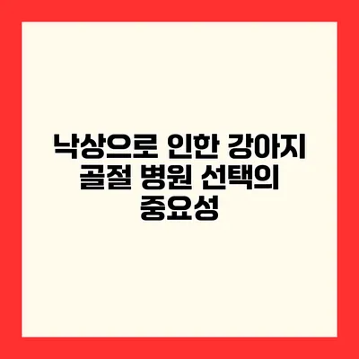 낙상으로 인한 강아지 골절 병원 선택의 중요성