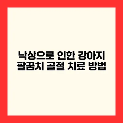 낙상으로 인한 강아지 팔꿈치 골절 치료 방법