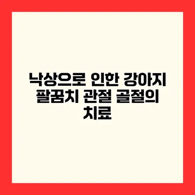 낙상으로 인한 강아지 팔꿈치 관절 골절의 치료