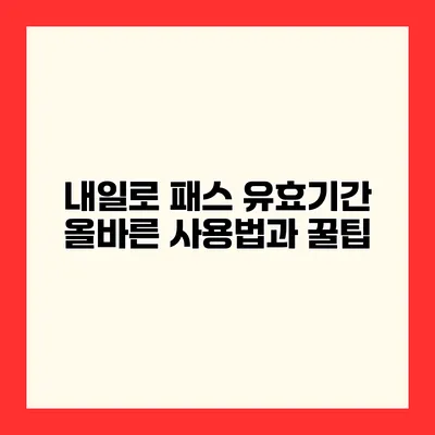 내일로 패스 유효기간 올바른 사용법과 꿀팁