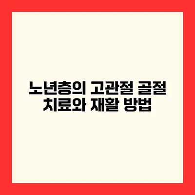 노년층의 고관절 골절 치료와 재활 방법