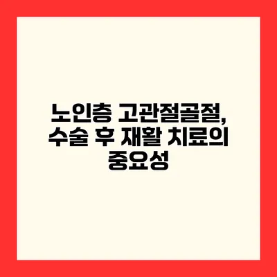 노인층 고관절골절, 수술 후 재활 치료의 중요성