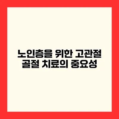 노인층을 위한 고관절 골절 치료의 중요성