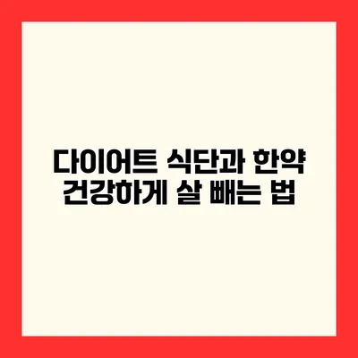 다이어트 식단과 한약 건강하게 살 빼는 법
