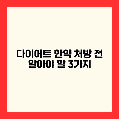 다이어트 한약 처방 전 알아야 할 3가지