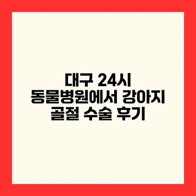 대구 24시 동물병원에서 강아지 골절 수술 후기