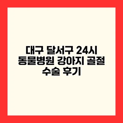 대구 달서구 24시 동물병원 강아지 골절 수술 후기